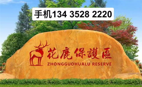 【景觀石低價(jià)出擊、廠價(jià)抄底瘋搶】- 