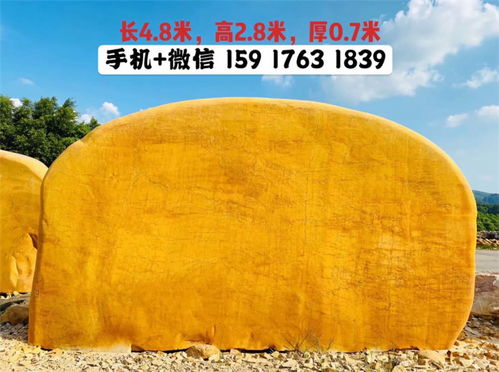 【上海景觀太湖石,刻字景觀石觀賞園林石】- 