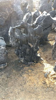 太湖石假山,太湖石假山生產(chǎn)廠家,太湖石假山價(jià)格