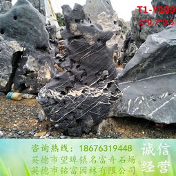 太湖石 景觀太湖石圖片 獨立成景的太湖石,太湖石 景觀太湖石圖片 獨立成景的太湖石生產(chǎn)廠家,太湖石 景觀太湖石圖片 獨立成景的太湖石價格