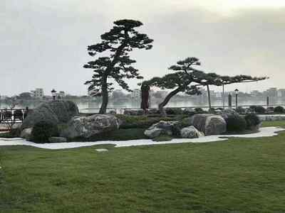 景觀石應用的實際效果的關鍵創(chuàng)意