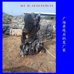 【奇石太湖石批發(fā)廣東奇石太湖石廠家在哪里園林景觀石圖片】-