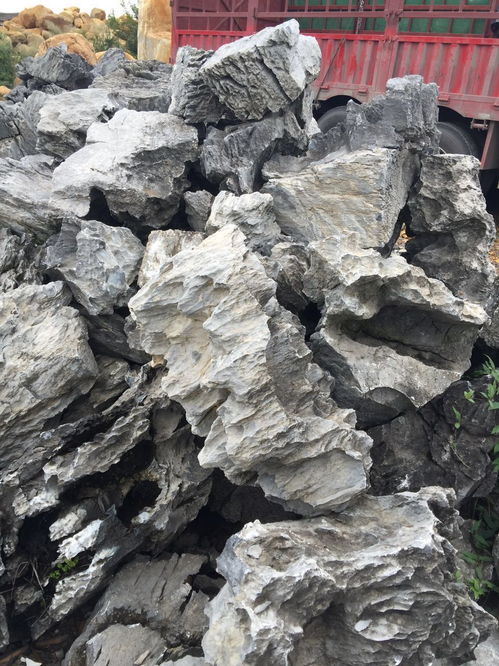 貴州庭院假山石種類 園林假山景觀石