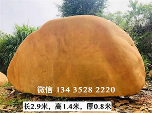 【莆田天然景觀石、泉州批發(fā)園林黃蠟石】- 