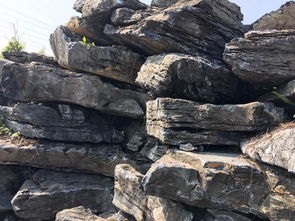 英石 廣東英石 大英石 園林假山石 園林景觀石 廣東英石 魚池石 英石批發(fā)廠家 價格優(yōu)惠 假山石材 園林工程假山圖片,英石 廣東英石 大英石 園林假山石 園林景觀石