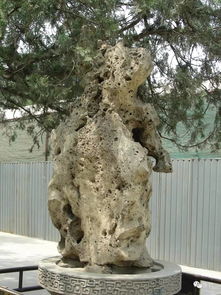 侯桂林 臥游文化與山水景觀石