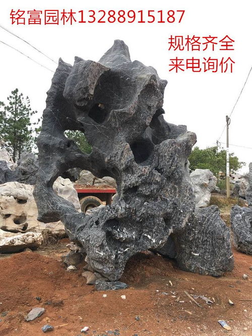 山東太湖石 廣東太湖石 山東園林假山景觀石