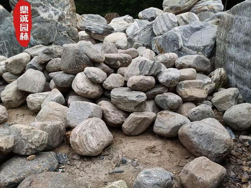 現代景觀石中的新寵泰山石,珠海泰山石假山石