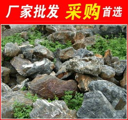 太湖石,惠州形態各異太湖石,景觀石大量批發
