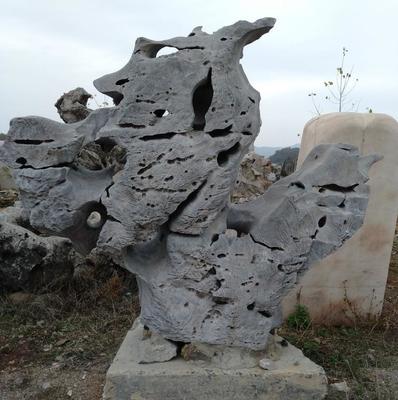 伯清園林全部分類【價格 批發 品牌 網上進貨】