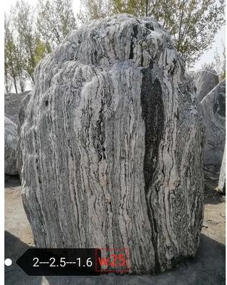 公園-廣場(chǎng)-學(xué)校-小區(qū)