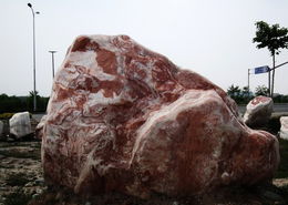 2010.06.10.景觀石 021