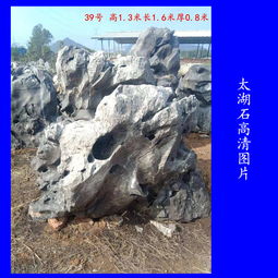 【奇石太湖石批發(fā)廣東奇石太湖石廠家在哪里園林景觀石圖片】-
