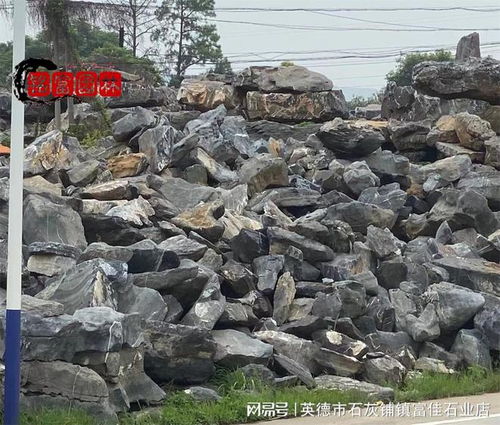 室內(nèi)的小擺件,室外的噸位主峰石 太湖石,銅仁景觀石