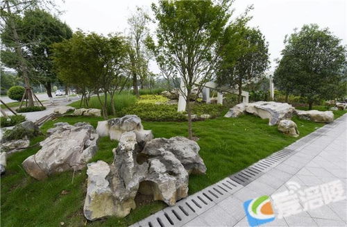 好去處 涪陵又一公園免費(fèi)對外開放啦 大贊