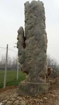 廣東景觀石怎么養(yǎng)護 廣東景觀石價格是多少