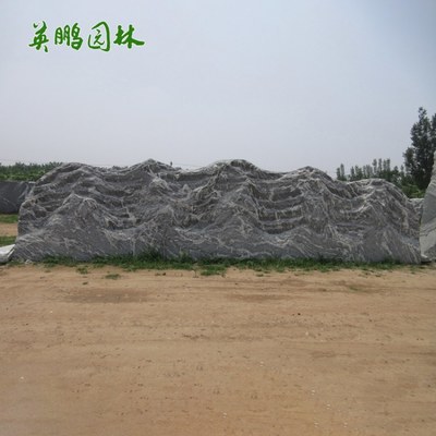 景觀石刻字大石頭泰山石原石 大型雪浪石觀景石