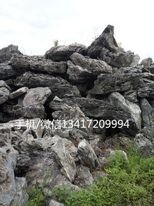 水族青龍石 假山疊石 精品峰石