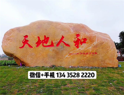 綠化園林造景石,衡陽大型園林石景觀石,學校文化石