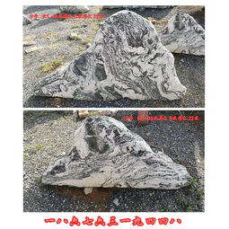 【雪浪石切片圖片清遠(yuǎn)雪浪石批發(fā)廠家景觀石價格】-