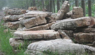 園林石 景觀石 景觀石園林石 天然景觀石 大型景觀石 景觀石刻字價格 廠家 圖片