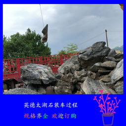 【自產自銷太湖石灰色太湖石圖片英德假山駁岸石廠家】-