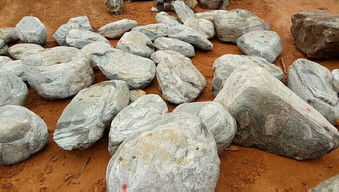 【泰山石,泰山石圖片,泰山石假山案例圖,泰山石展場高清大圖】-