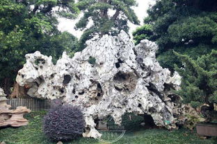 太漂亮了,景觀石