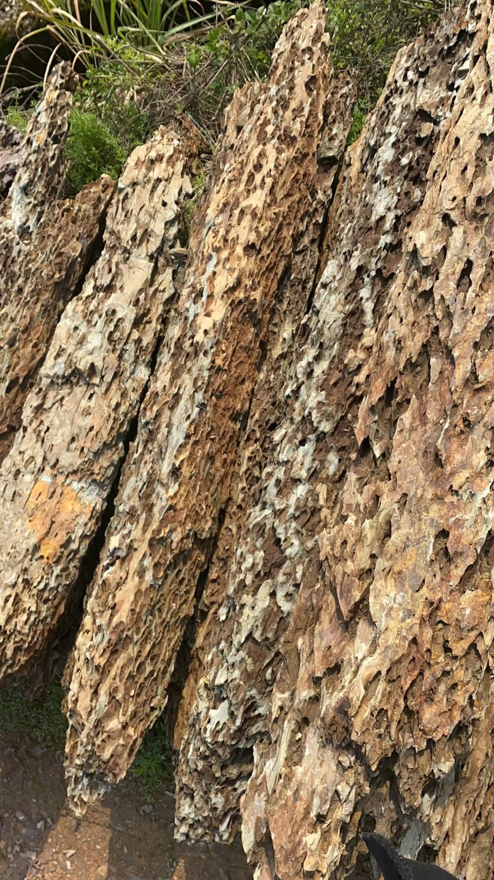 龍骨石筍石園林假山石景觀石產(chǎn)地批發(fā)可定制