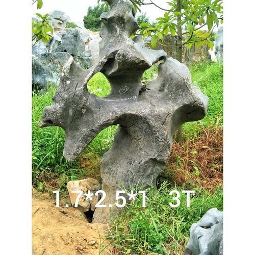 陽(yáng)泉公園太湖石擺件風(fēng)景石