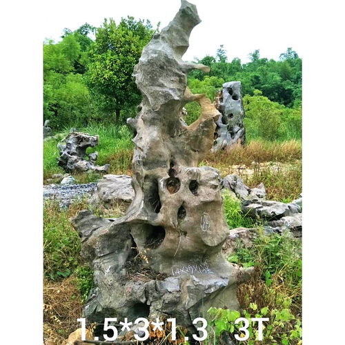 大型園林景觀石批發(fā)基地