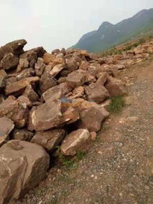 景觀石哪家好 上哪里買景觀石好