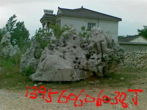 大型太湖石在園林景觀中的應(yīng)用與價(jià)值
