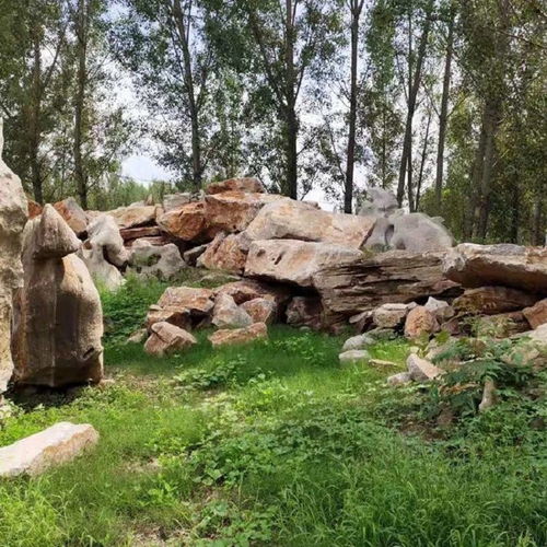 園林景觀石的多樣應用與批發指南