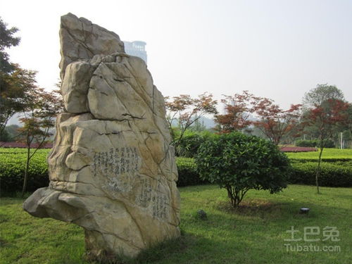 景觀石價格及常見的景觀石介紹