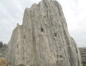 園林景觀石雕刻選購指南 價格、型號規(guī)格與品質(zhì)保證