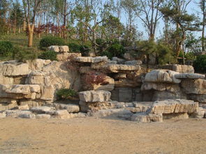 龜紋石 自然與藝術(shù)的融合，優(yōu)質(zhì)景觀石供應(yīng)指南