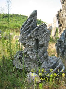 英德石 優(yōu)質(zhì)景觀石供應(yīng)與園林造景的藝術(shù)